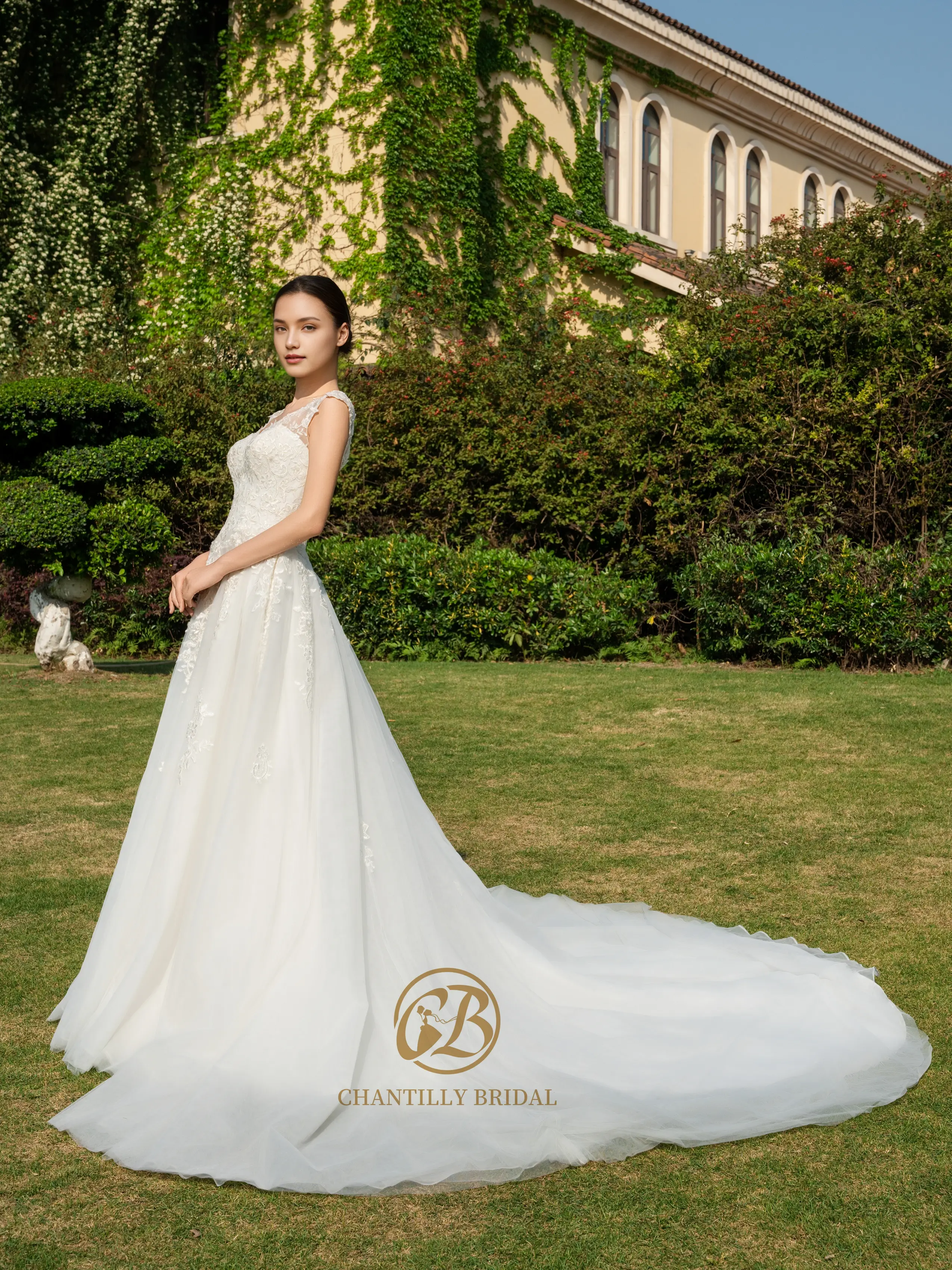 The Graceful V: A Backline of Understated Romance